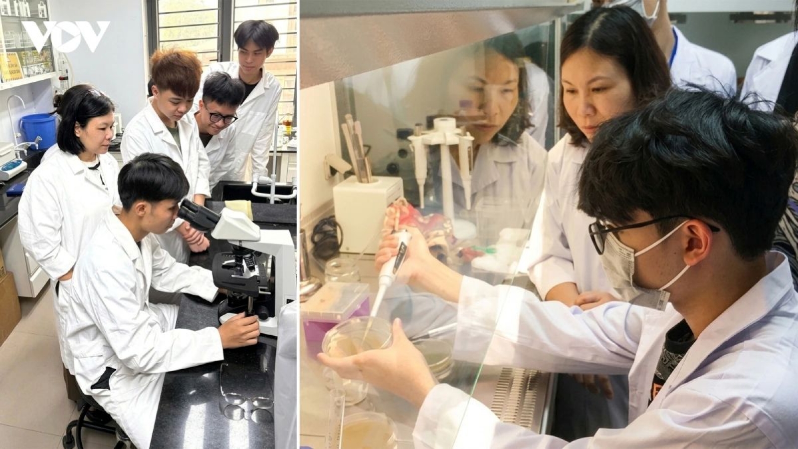 Basic science seen as foundation for Vietnam’s innovation-driven growth